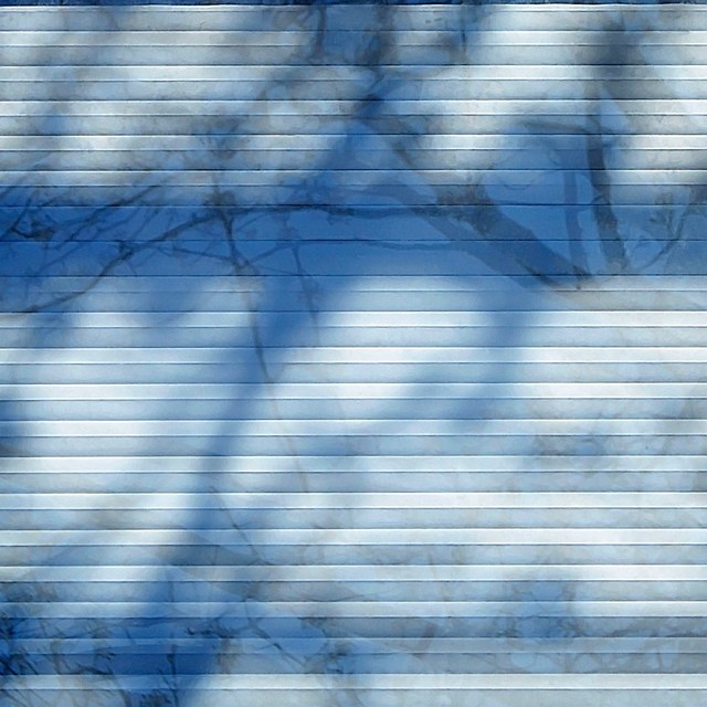 Isabelle Schneider — work